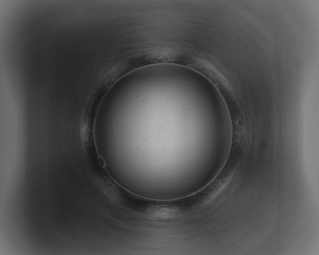 X0000101090597200806261453