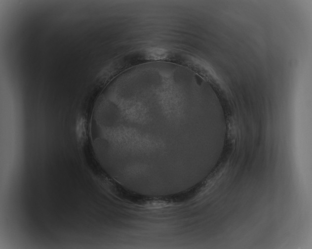 X0000101090598200806261453