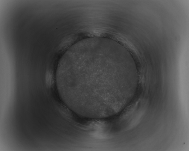 X0000101090599200806261453