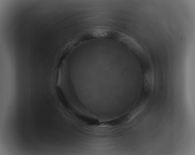 X0000101090600200806261453