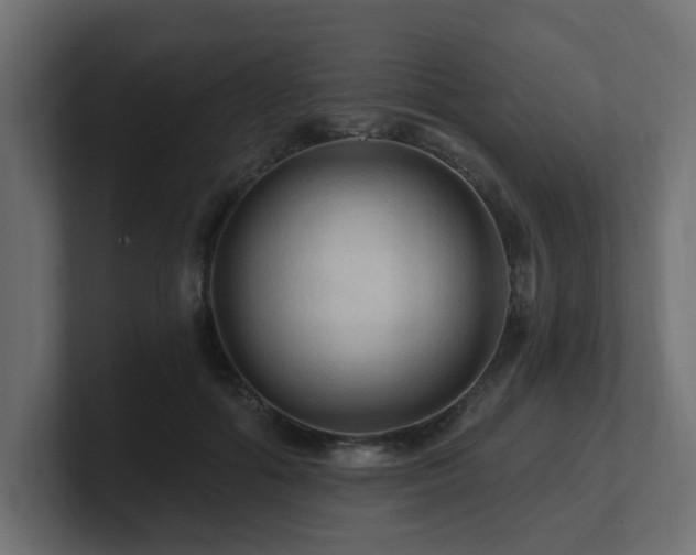 X0000101090602200806261453