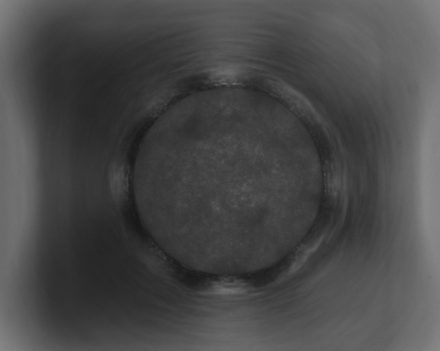 X0000101090603200806261453