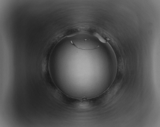 X0000101090604200806261453