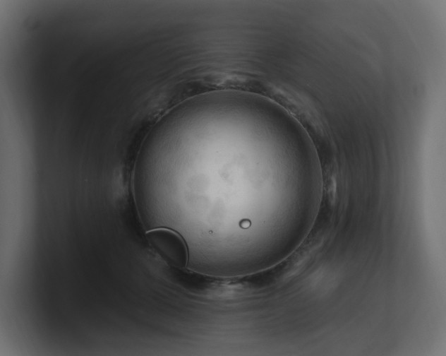 X0000101090607200806261453