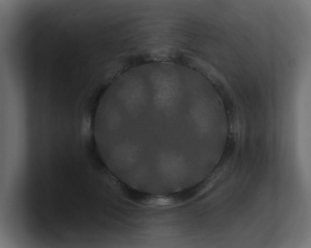 X0000101090610200806261453