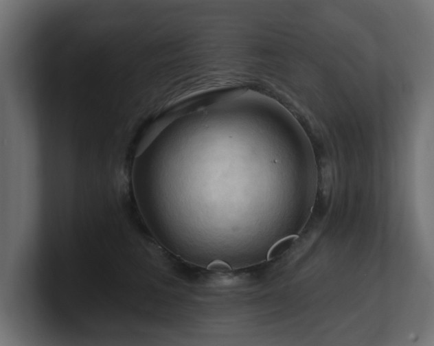 X0000101090613200806261453