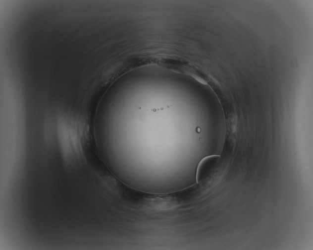 X0000101090615200806261453