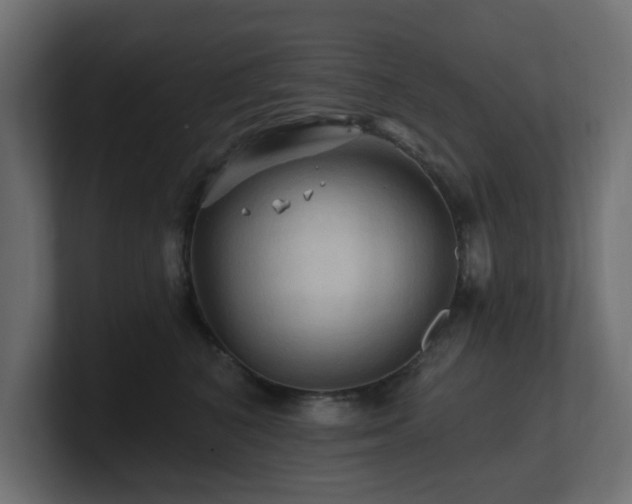 X0000101090616200806261453