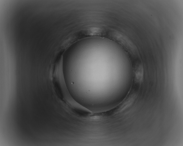 X0000101090620200806261453