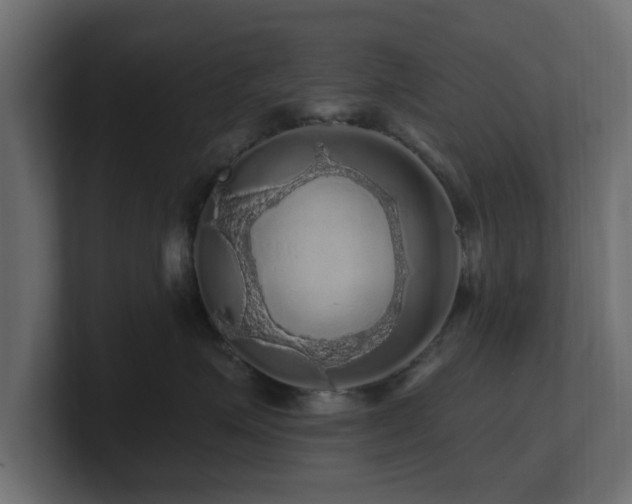 X0000101090623200806261453