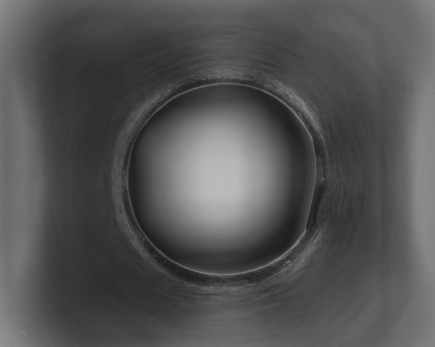 X0000101090625200806261452