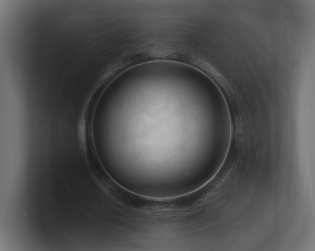 X0000101090626200806261452