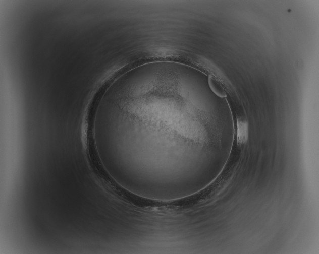 X0000101090627200806261452