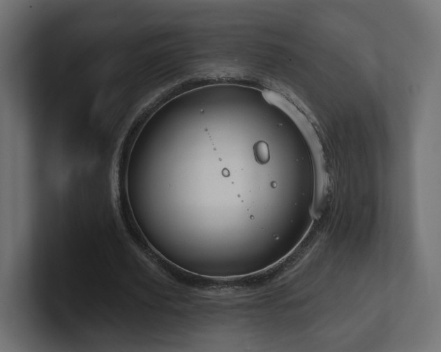 X0000101090629200806261452