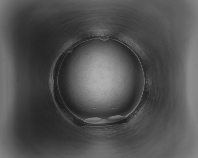 X0000101090630200806261452