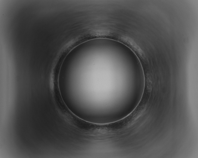 X0000101090631200806261452