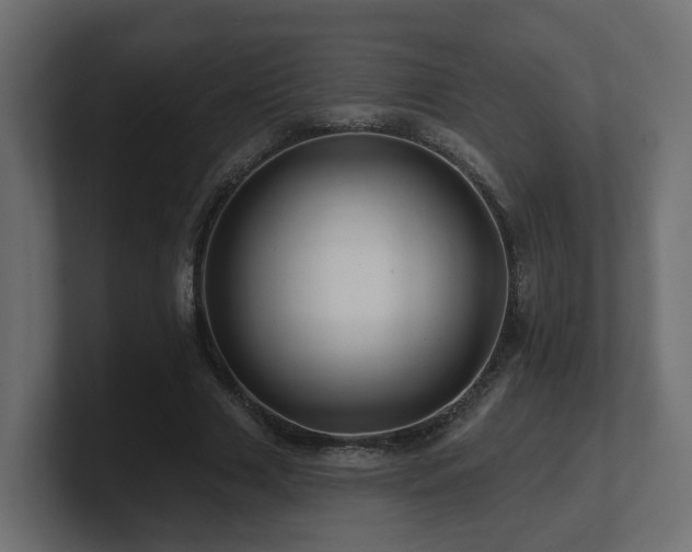 X0000101090633200806261452