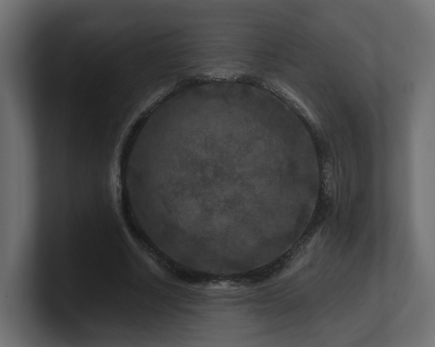 X0000101090634200806261452