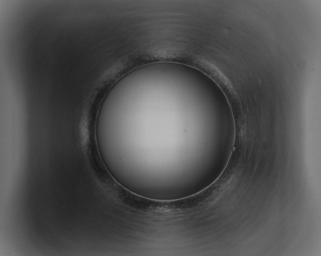 X0000101090635200806261452