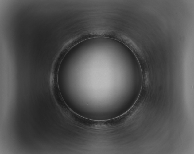 X0000101090636200806261452