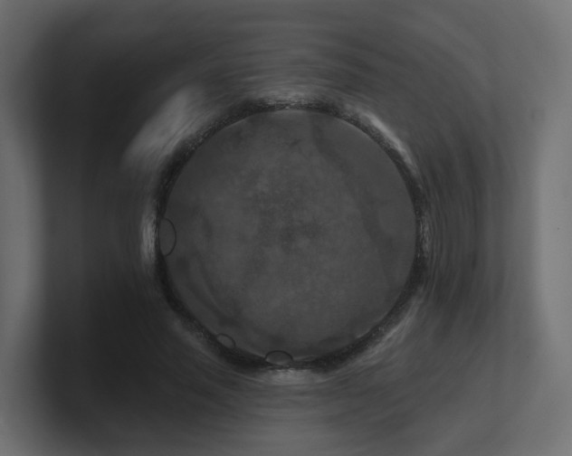 X0000101090637200806261452