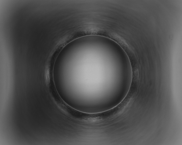 X0000101090638200806261452