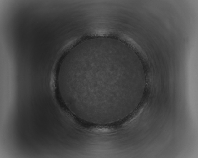 X0000101090640200806261452