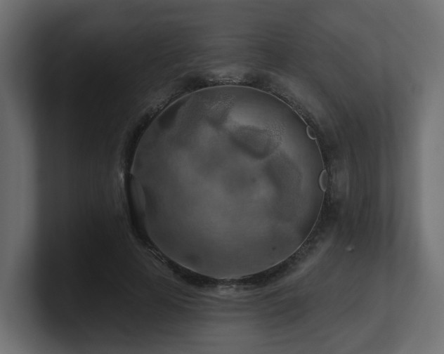 X0000101090641200806261452