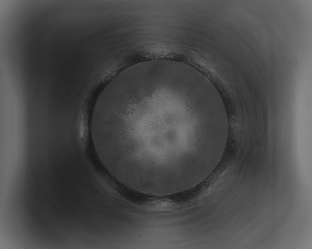 X0000101090642200806261452