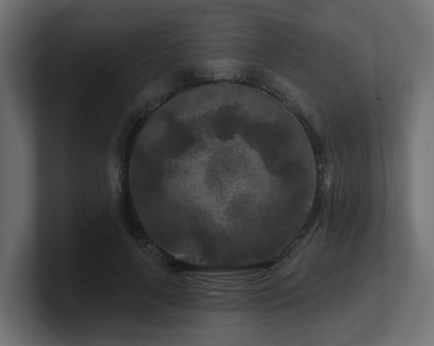 X0000101090643200806261452