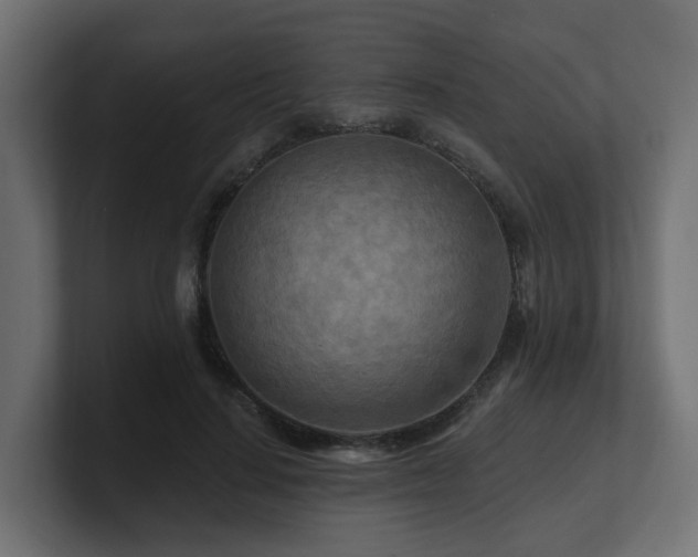 X0000101090644200806261452