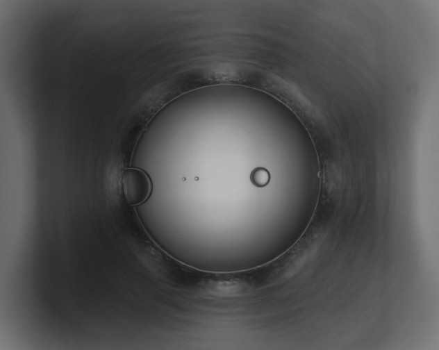 X0000101090645200806261452