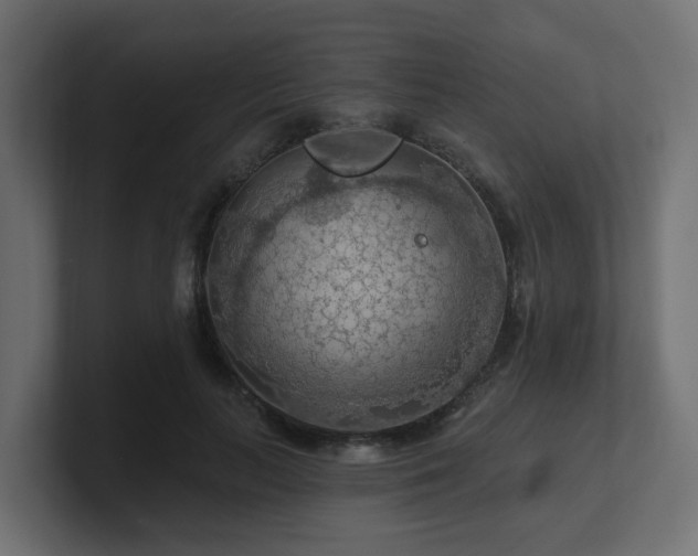 X0000101090647200806261452