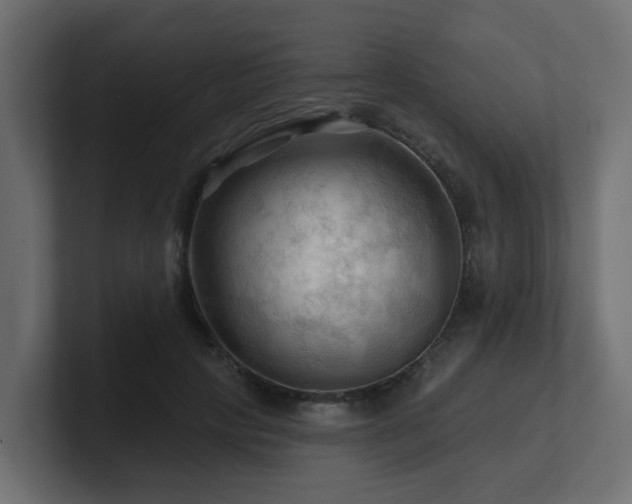 X0000101090649200806261452