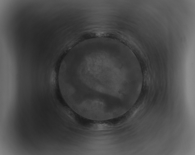 X0000101090650200806261452