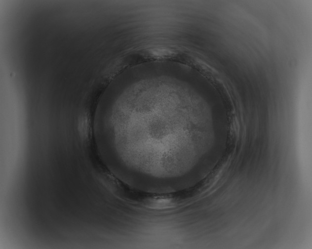 X0000101090651200806261452