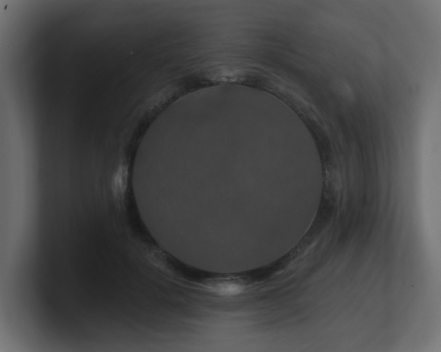 X0000101090652200806261452