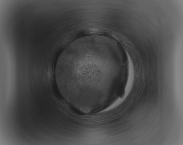 X0000101090653200806261452