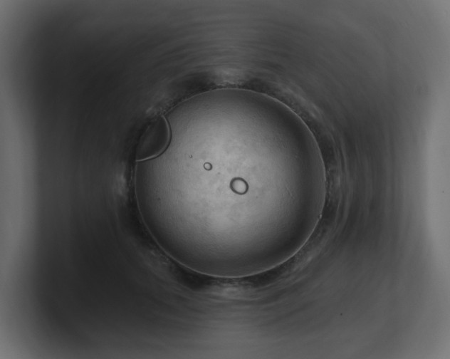 X0000101090655200806261452