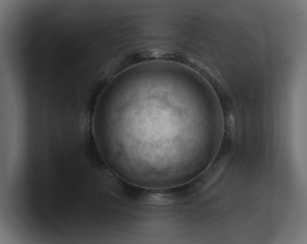 X0000101090657200806261452