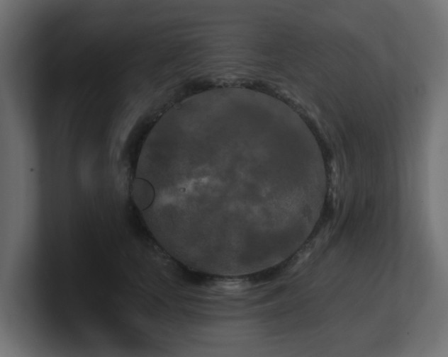 X0000101090659200806261452