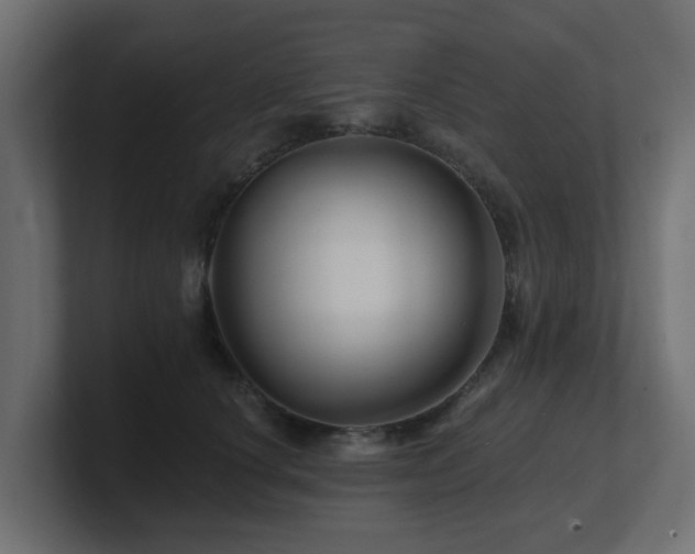 X0000101090660200806261452