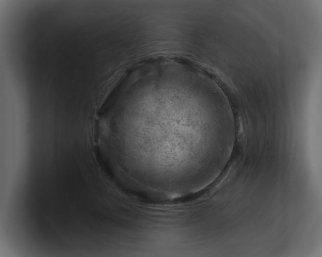 X0000101090661200806261452