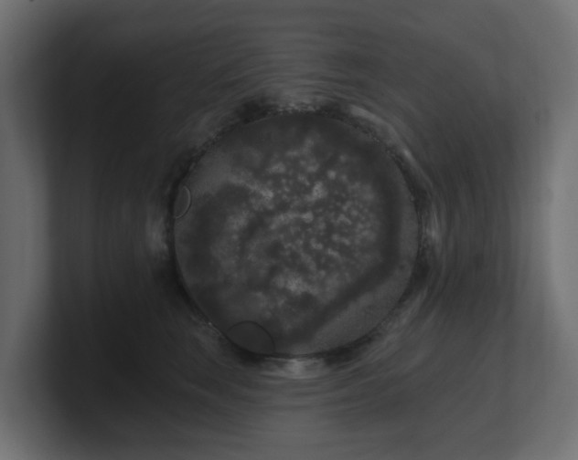 X0000101090663200806261452