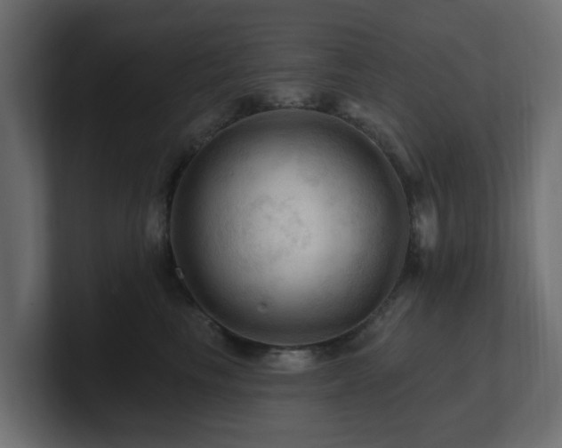 X0000101090665200806261452