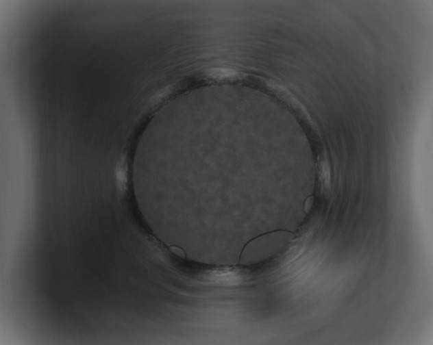 X0000101090668200806261452