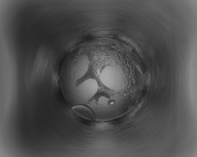 X0000101090669200806261452