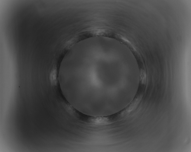 X0000101090670200806261452