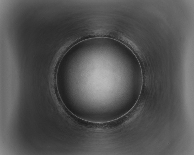 X0000101090673200806261452