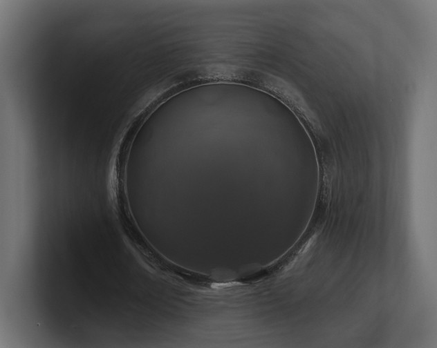 X0000101090674200806261452